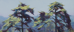 Ceder Trees | 2016 | Oil on Canvas | 39 x 72 cm